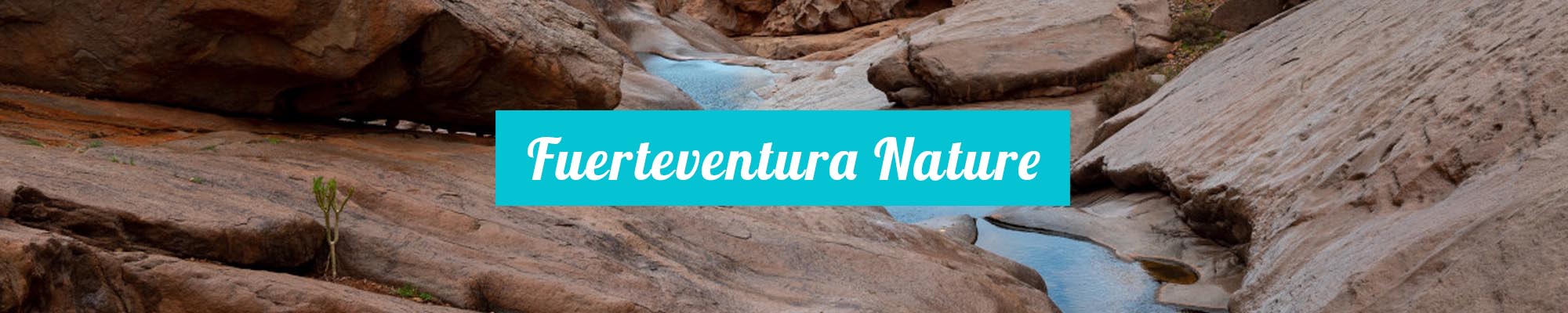 Fuerteventura Nature